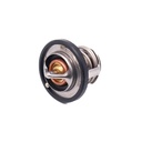 TERMOSTATO MOTOR 4Y /82°